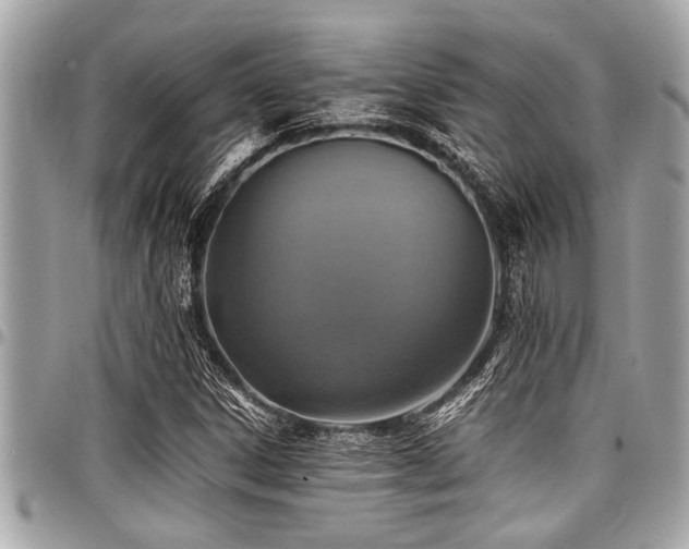 X0000098001306200803241333