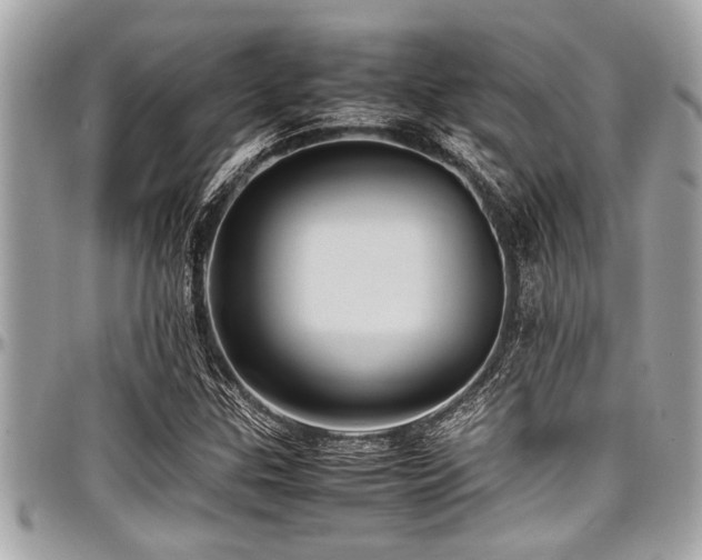X0000098001307200803241333