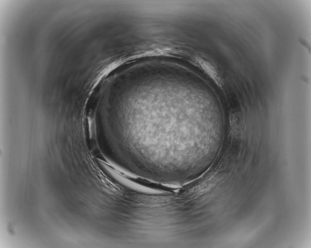 X0000098001308200803241333
