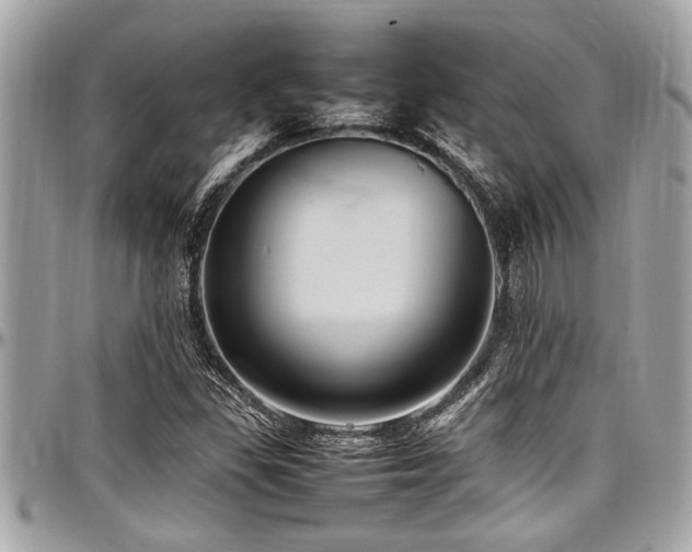 X0000098001309200803241333
