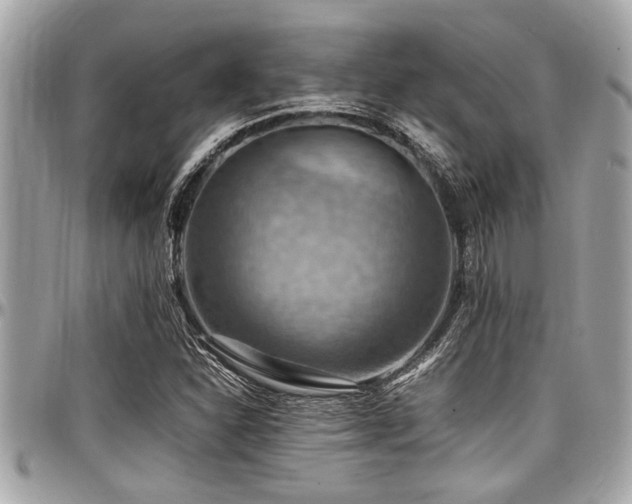 X0000098001310200803241333