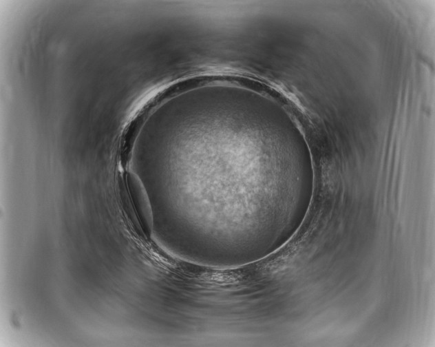 X0000098001311200803241333