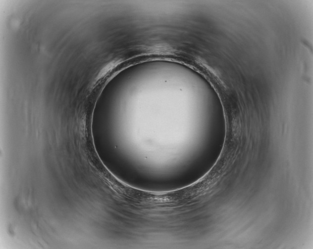 X0000098001315200803241333