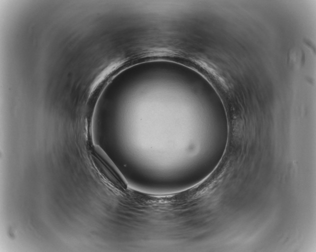 X0000098001317200803241333
