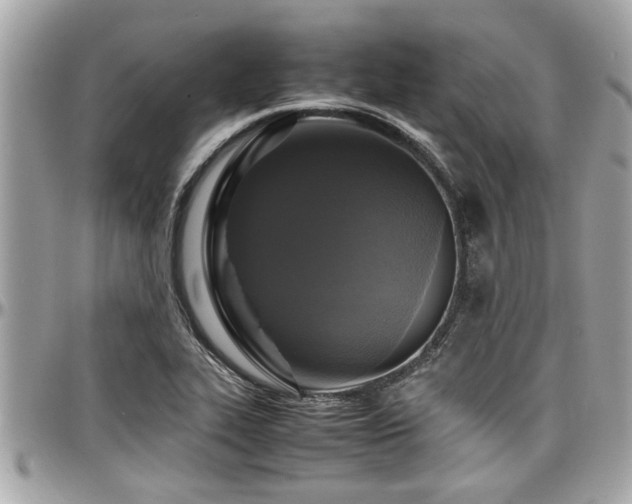 X0000098001319200803241333