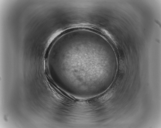 X0000098001320200803241333