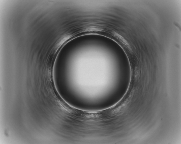 X0000098001321200803241333