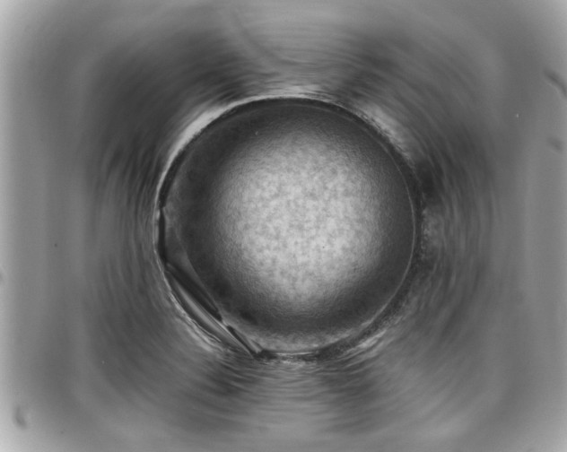 X0000098001324200803241333