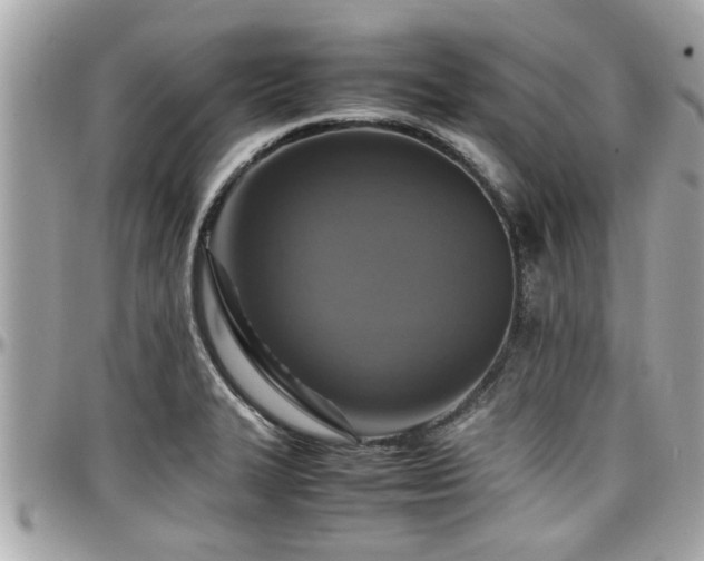 X0000098001327200803241333
