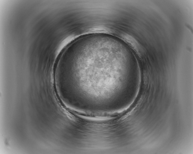 X0000098001328200803241333