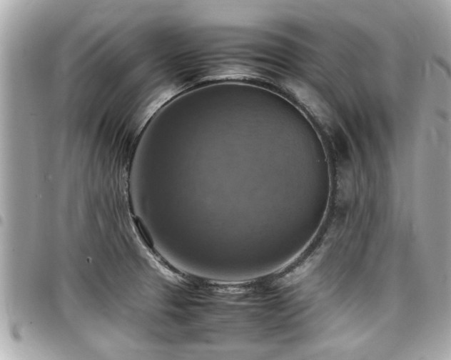 X0000098001329200803241333