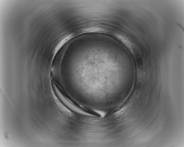 X0000098001330200803241333