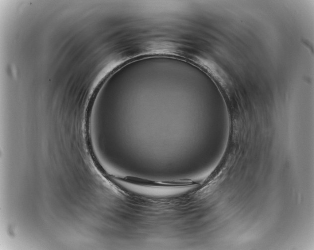 X0000098001331200803241333