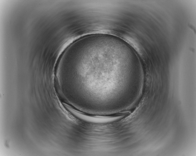 X0000098001332200803241333