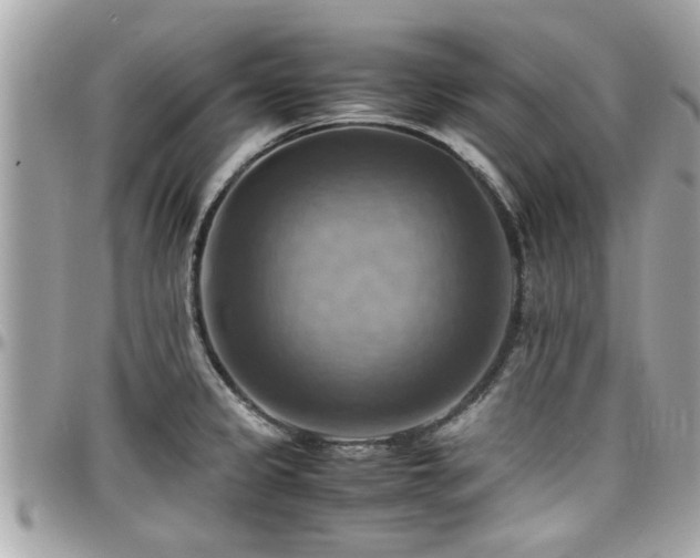 X0000098001333200803241333