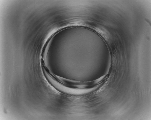 X0000098001334200803241333