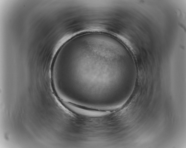 X0000098001335200803241333