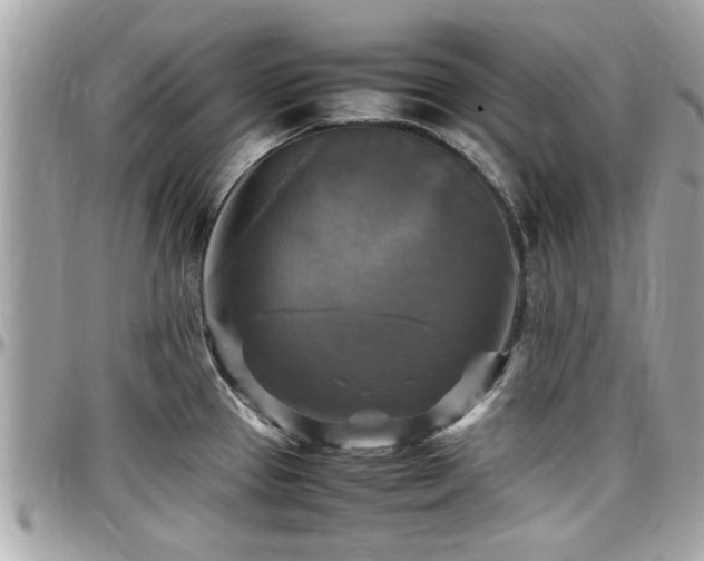 X0000098001337200803241333