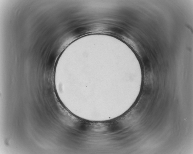 X0000098001338200803241333