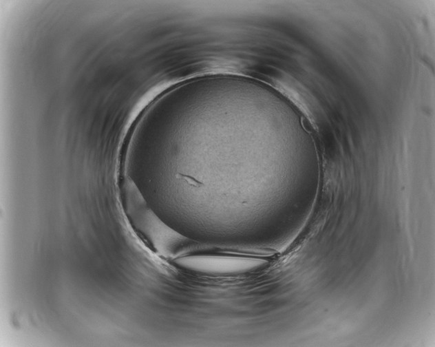 X0000098001339200803241333