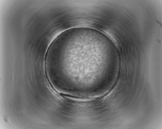 X0000098001340200803241333