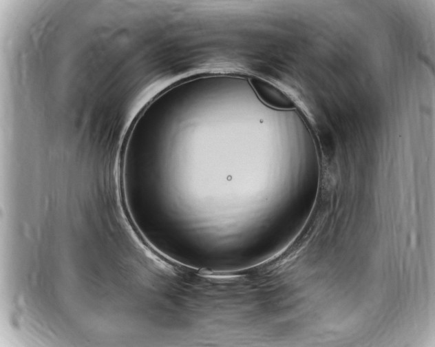 X0000098001343200803241333