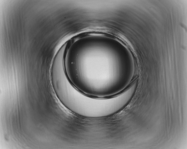 X0000098001344200803241333