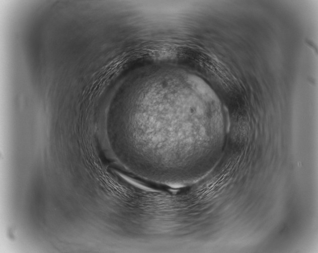 X0000098001345200803241332