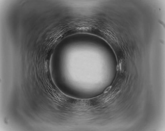 X0000098001347200803241332