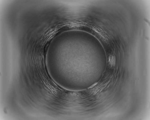 X0000098001348200803241332
