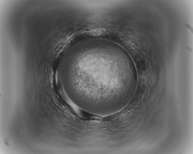 X0000098001349200803241332