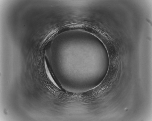 X0000098001351200803241332