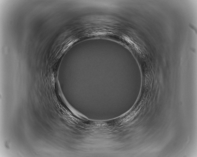 X0000098001353200803241332