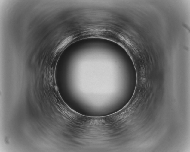 X0000098001354200803241332