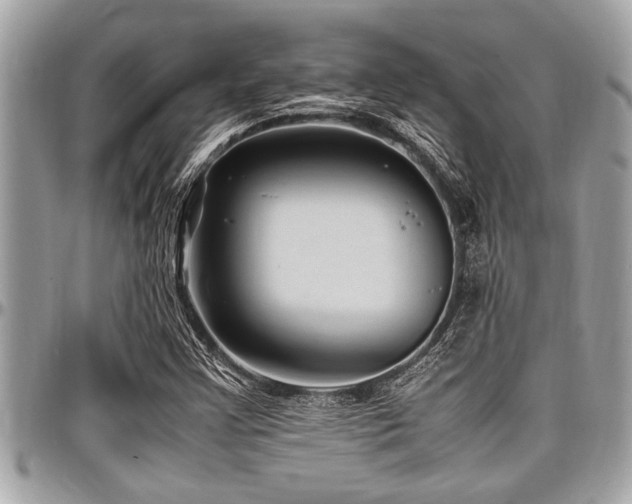 X0000098001355200803241332