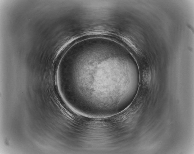 X0000098001356200803241332