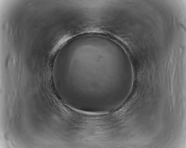 X0000098001359200803241332