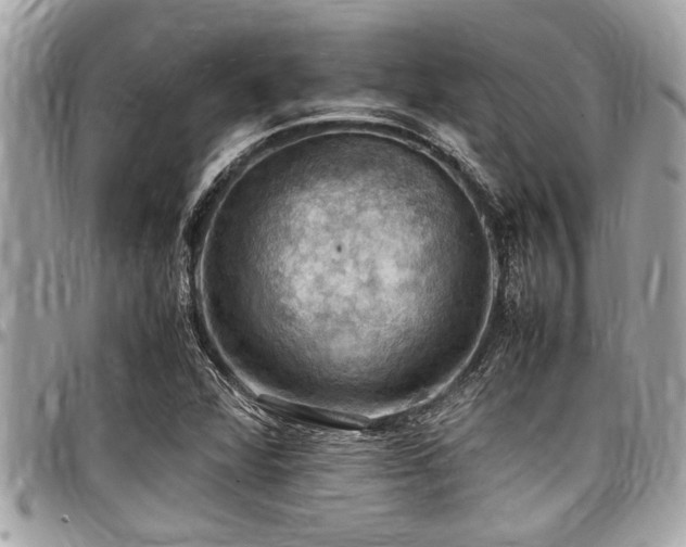 X0000098001360200803241332