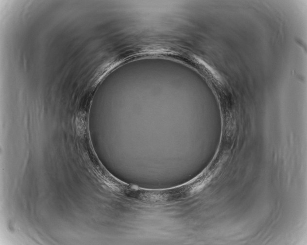 X0000098001361200803241332