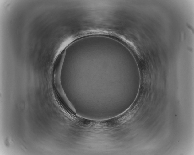 X0000098001365200803241332