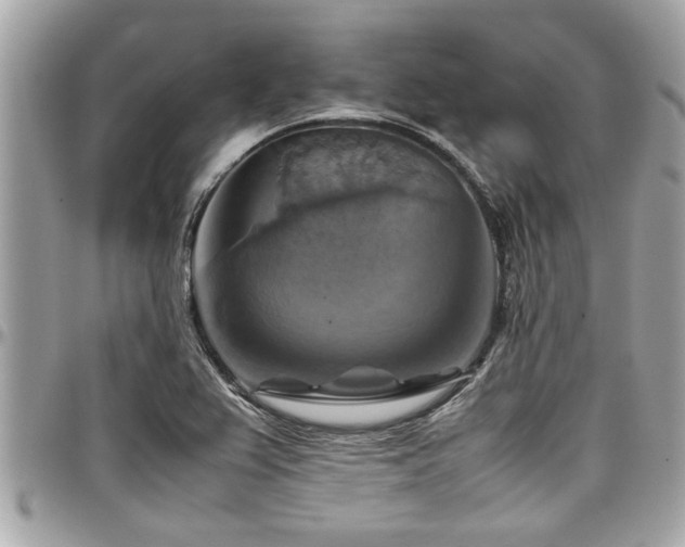 X0000098001367200803241332