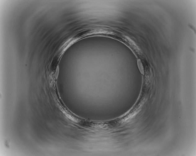 X0000098001369200803241332