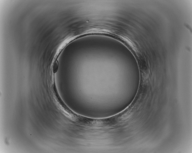 X0000098001371200803241332