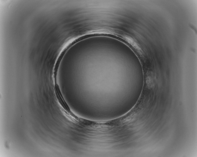 X0000098001372200803241332