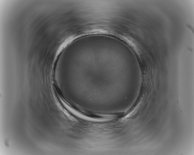 X0000098001373200803241332