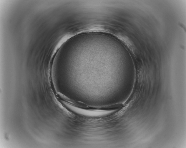 X0000098001374200803241332