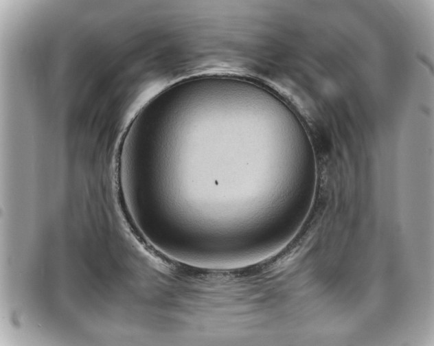 X0000098001375200803241332