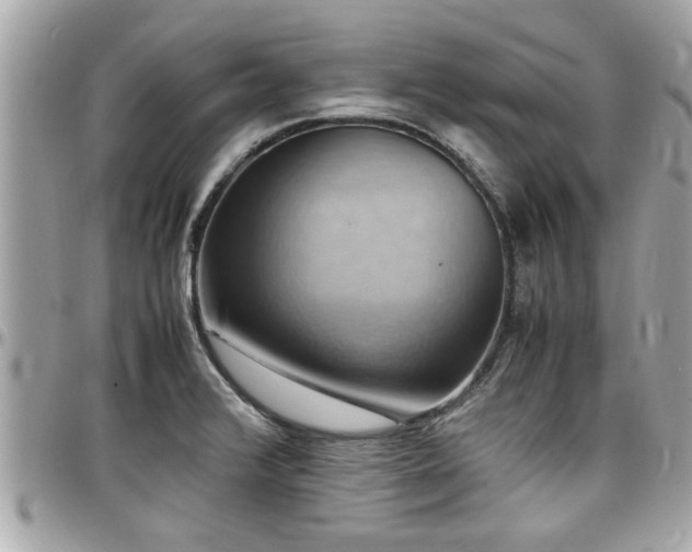 X0000098001376200803241332