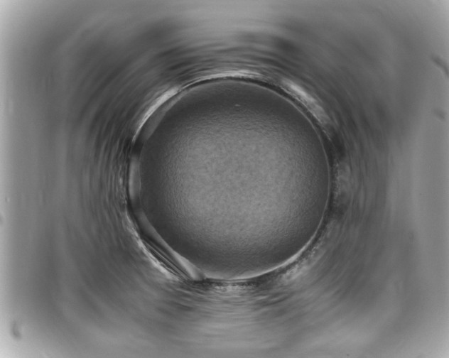 X0000098001377200803241332