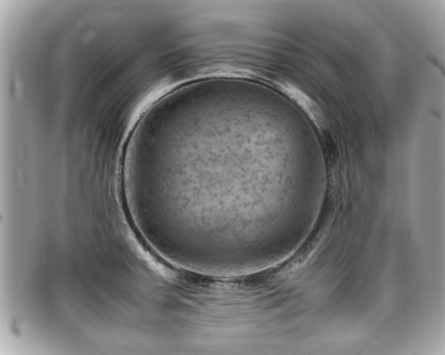 X0000098001379200803241332
